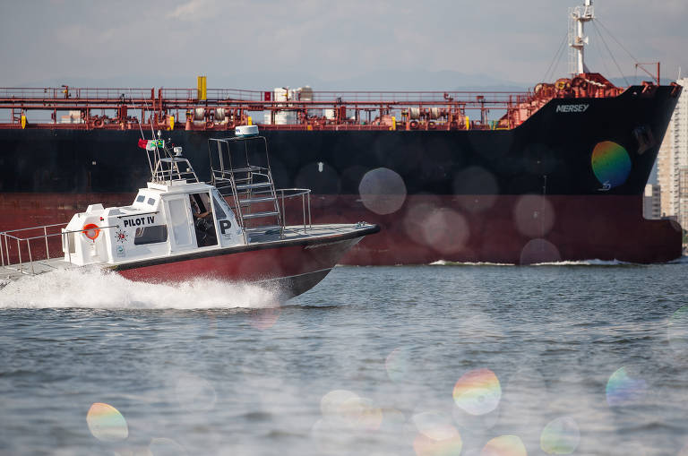 Cade abre processo contra praticagem do porto de Santos
