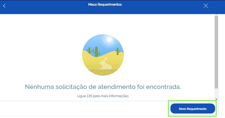 Clique em "Novo Requerimento"