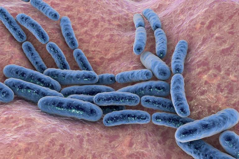 Ilustração de bactérias cilíndricas azuis sobre um fundo rosa claro