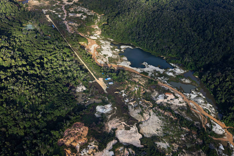 Imagem aérea mostrando uma área de floresta densa com partes desmatadas. Há um caminho de terra que se estende pela paisagem， com um pequeno corpo d039;água visível. A vegetação ao redor é predominantemente verde， enquanto as áreas desmatadas apresentam solo exposto e manchas de terra clara.