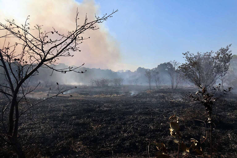 Área devastada pelo incêndio que atinge o Parque Estadual do Cocó em Fortaleza, CE.