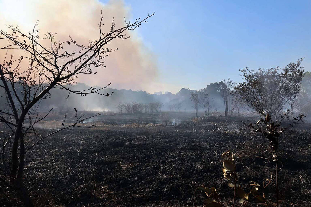 Fire in Parque do Cocó, in Fortaleza, has been going on for more than 48 hours – 01/19/2024 – Environment