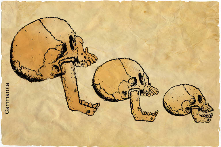 Título: O Deus do darwinismo  A ilustração figurativa de Ricardo Cammarota foi executada em técnica manual com caneta nanquim ponta fina, acabamento simples, traços tortuosos, sobre papel craft amassado e envelhecido.   A imagem, na horizontal, proporção 17,5cm x 9,5cm, apresenta a imagem de 3 desenhos estilizados de perfis de crânios do homem neandertal, em 3 tamanho, em estilo científico. O primeiro, à esquerda, é maior e sua mandíbula é grande e está aberta em direção ao segundo crânio menor a sua frente. Este também está com a mandíbula aberta em direção ao terceiro crânio, que é um pouco menor.