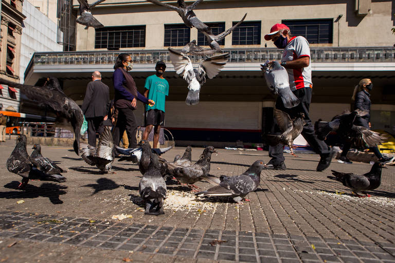 Pombos se alimentam no centro de São Paulo