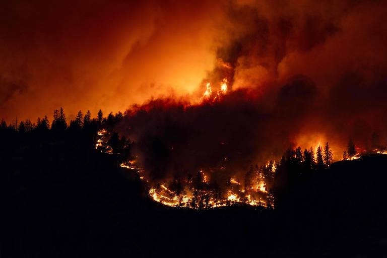Canadense que acusou governo de incêndios admite ter ateado fogo em florestas 14 vezes