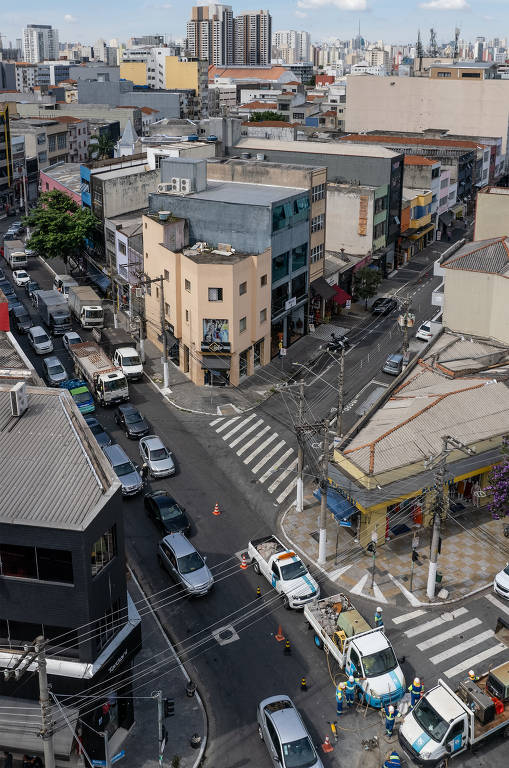 A cobertura vegetal no Brás é de apenas 7%, e o distrito ainda segue com uma das maiores concentrações do comércio na cidade, junto com Sé e República; apesar disso, a atividade comercial se espalhou por outras regiões, com uma carcaterística linear, de grandes corredores próximos do transporte