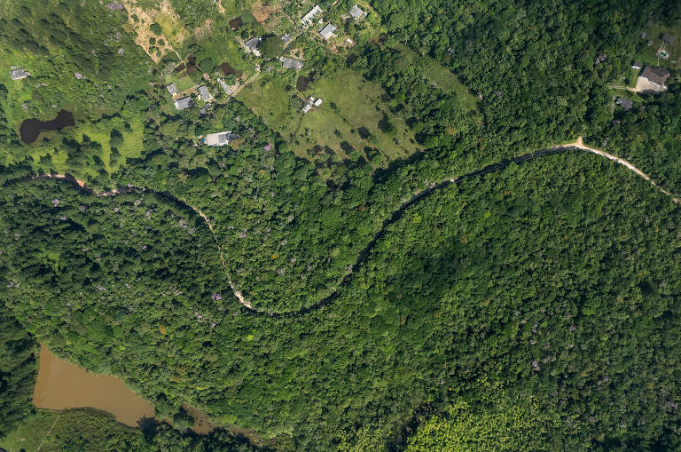 Marsilac lidera na cobertura de Vegetação, e Socorro, também na zona sul, tem 34% de sua área coberta por água da represa Guarapiranga