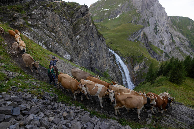 Derretimento de glaciares na Suíça ameaça modo de vida tradicional
