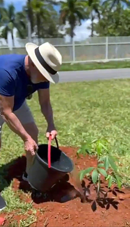 Lula em vídeo divulgado em seu perfil em rede social no qual aparece plantando árvore nos jardins do Alvorada, no dia 20 de janeiro
