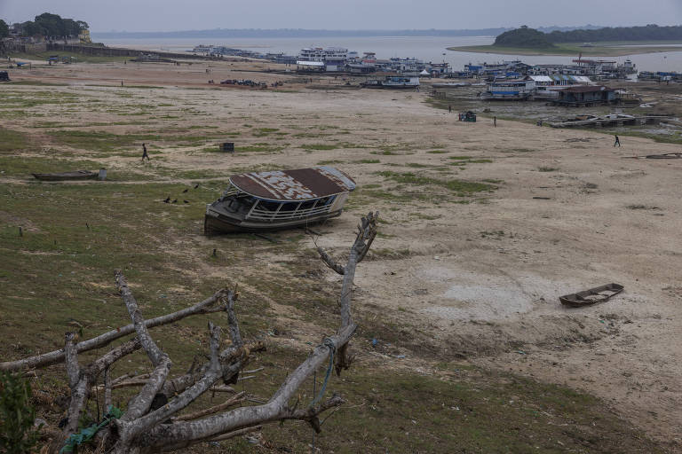 Mudança climática aumentou em 30 vezes chance da seca extrema na amazônia em 2023