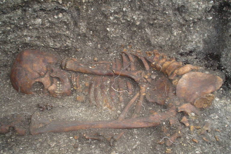 Esqueleto muito antigo com tom avermelhado em solo perto da praia