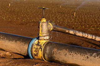 FILE PHOTO: Irrigation pipeline in the Imperial Valley, California