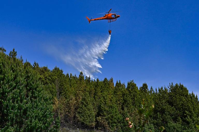 Helicóptero lança água em floresta de pinheiros