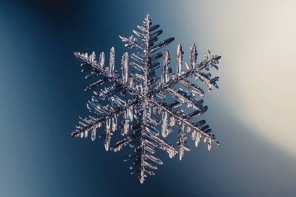 What snowflakes reveal about the laws that govern the Universe – 01/31/2024 – Science
