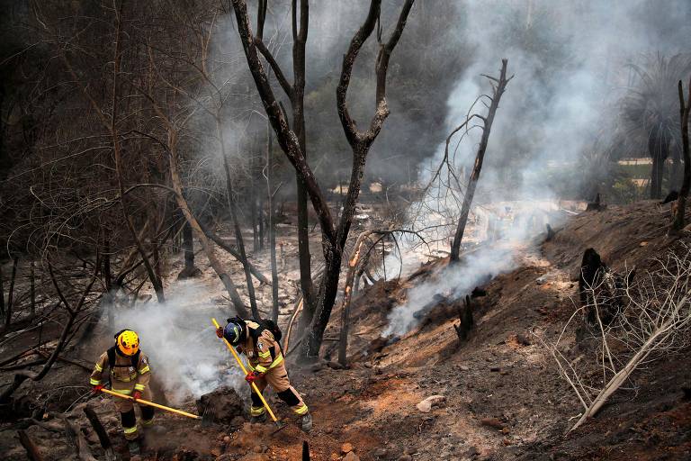 Bombeiros apagam focos de incêndio em meio às árvores, cercados por vegetação carbonizada e nuvens de fumaça