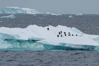 FILE PHOTO: Scientists investigate impact of climate change on penguin colonies in Antarctica