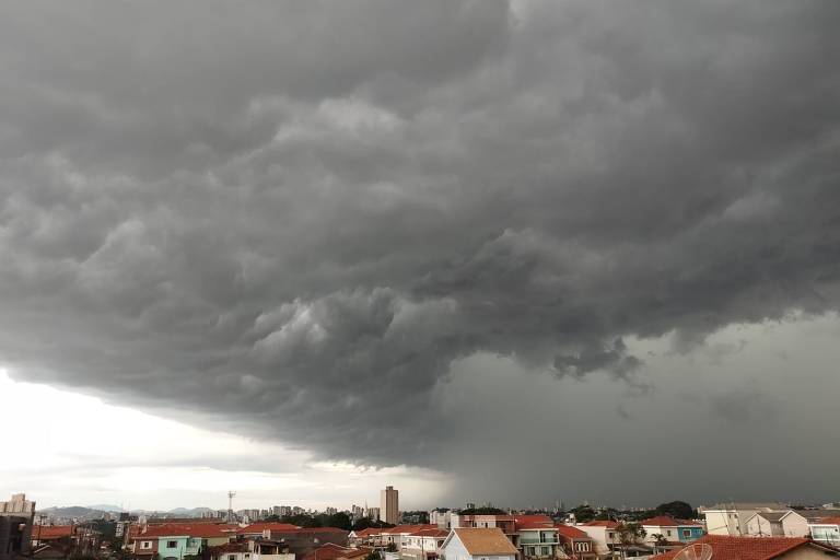 Equipe de nado artístico do Brasil compete no mundial de esportes aquáticos