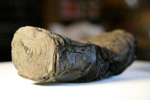 This handout picture courtesy of EduceLab/University of Kentucky and obtained on February 6, 2024, shows a 2,000-year-old scroll that was scorched in the eruption of Mount Vesuvius. Three researchers on February 6, 2024 won a $700,000 prize for using artificial intelligence to read a 2,000-year-old scroll that was scorched in the volcanic eruption of Mount Vesuvius that buried the ancient Roman town of Pompeii. (Photo by Handout / EduceLab/University of Kentucky / AFP)
