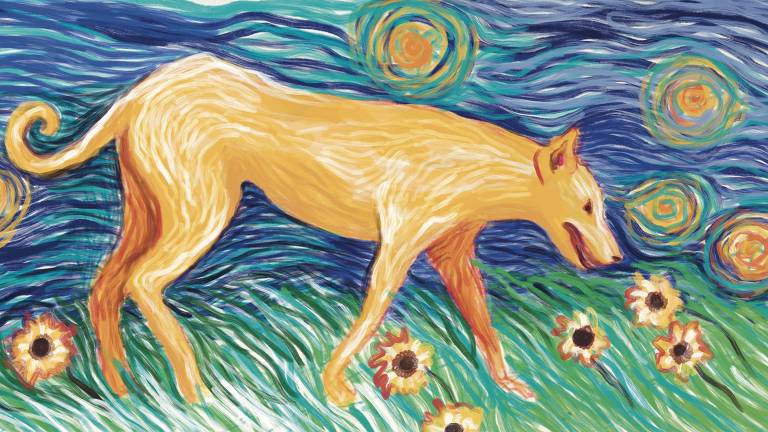 No centro da imagem um cachorro grande cor caramelo caminha da esquerda para a direita sobre um pasto verde com flores amarelas. Ao fundo um céu azul com estrelas amarelas. A imagem é feita com pinceladas fortes e rápidas. 