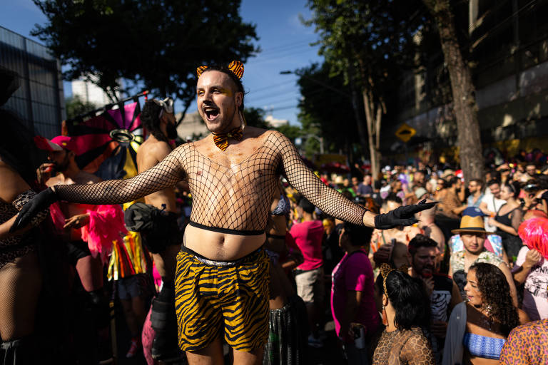 Veja as fantasias dos foliões pelo Brasil