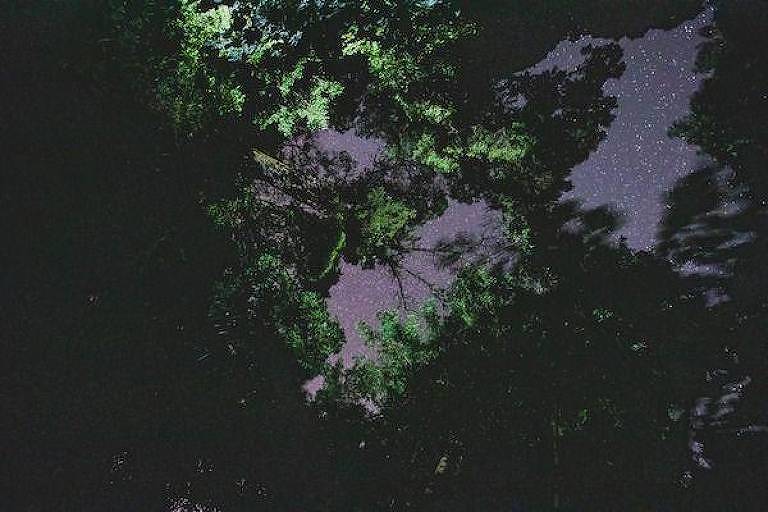 Foto tirada de baixo para cima permite ver a luz noturna entrando por uma clareira na mata e competindo com luz artificial posicionada nas imediações