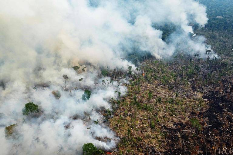 Quase metade da amazônia caminha para ponto de inflexão rumo ao colapso até 2050, diz pesquisa