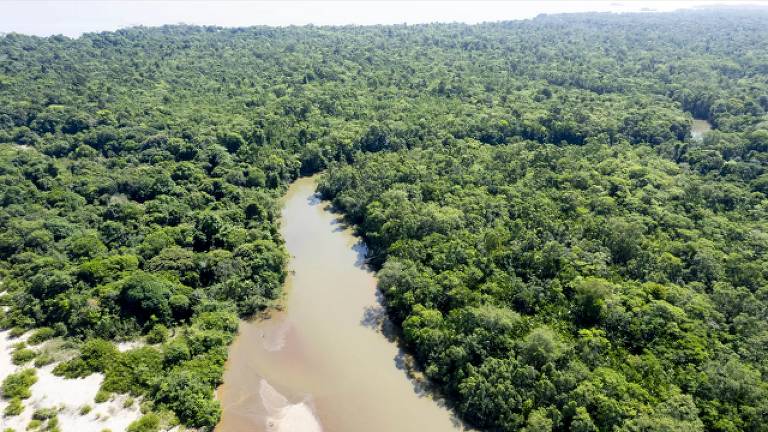 Foto mostra vista aérea da mata fechada da floresta amazônia, com muitas árvores de copas verdes, cortada por um rio de águas marrons