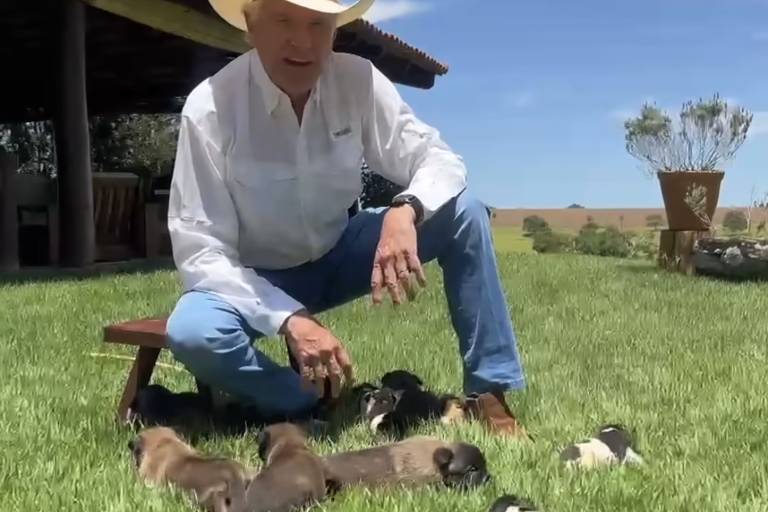 Ronaldo Caiado sorteia cães após críticas e agora cita ONGs de proteção animal