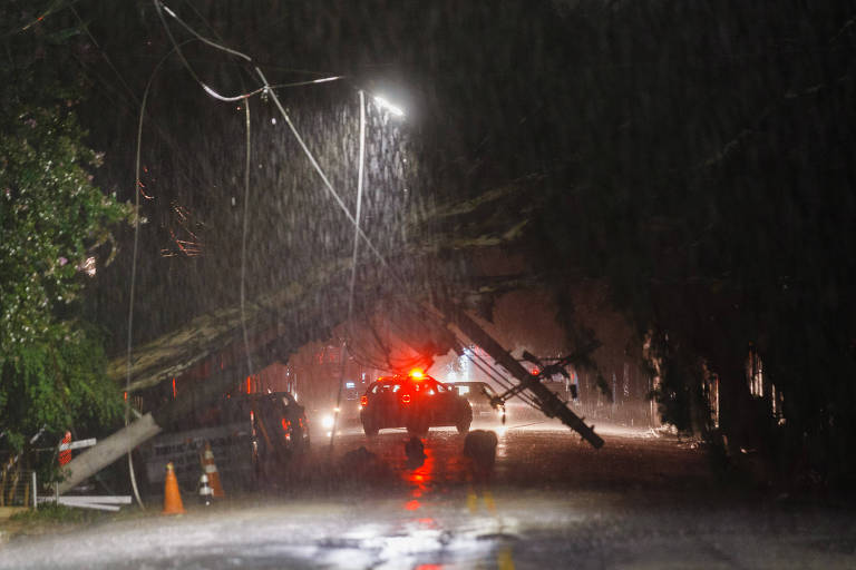 Árvore cai em cima de fios de eletricidade e deixa moradores sem luz; próximos dias devem ter pancadas de chuva na capital paulista