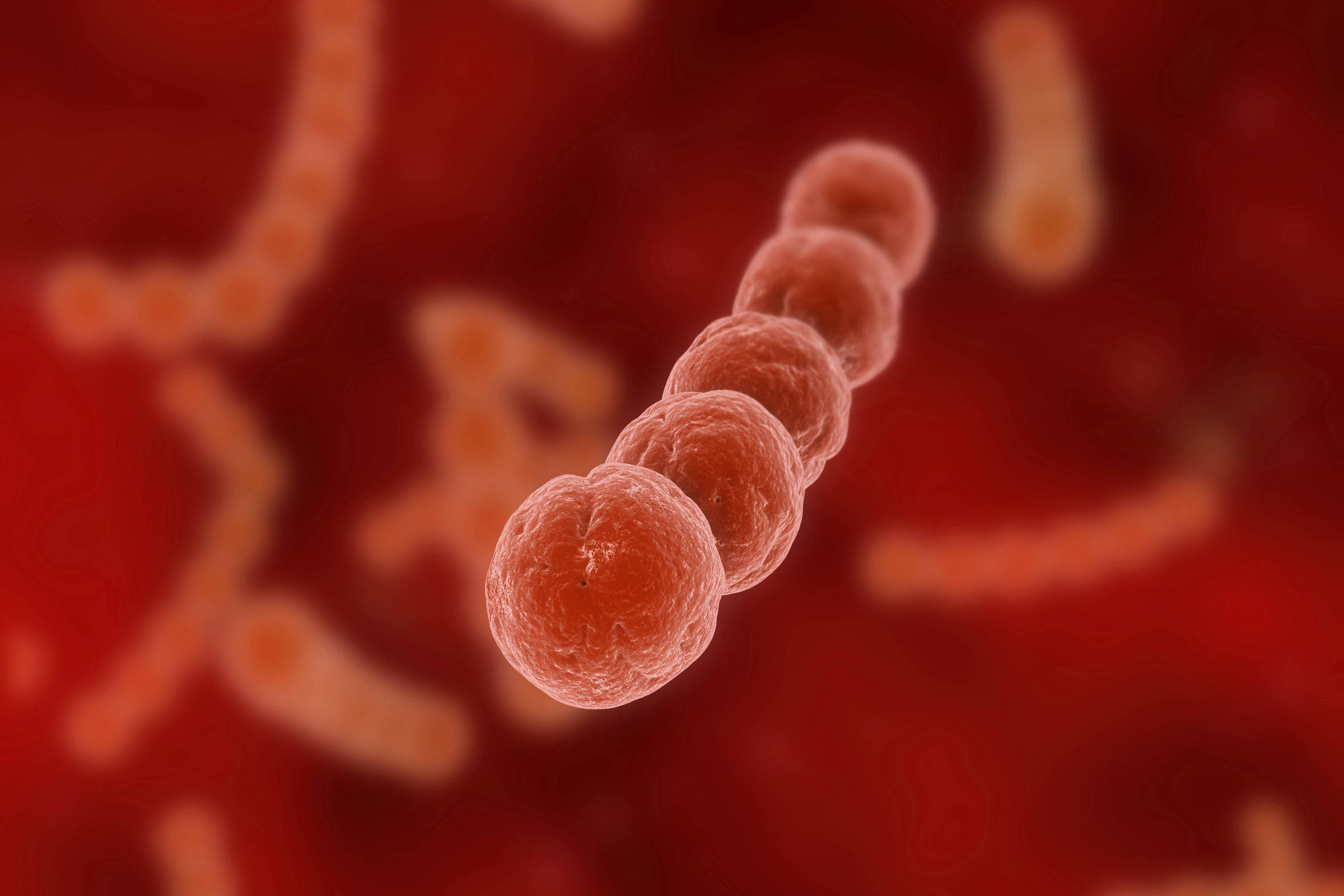 Novo antibiótico mostra potencial para combater superbactérias