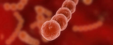 Streptococcus (nome científico em latim, do grego στρεπτό κοκκος, traços de grãos), um gênero de bactérias  que podem causar doenças no ser humano