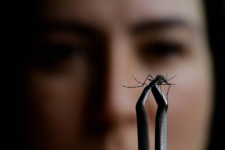 Dengue é mais letal em crianças menores de 5 anos, aponta Fiocruz