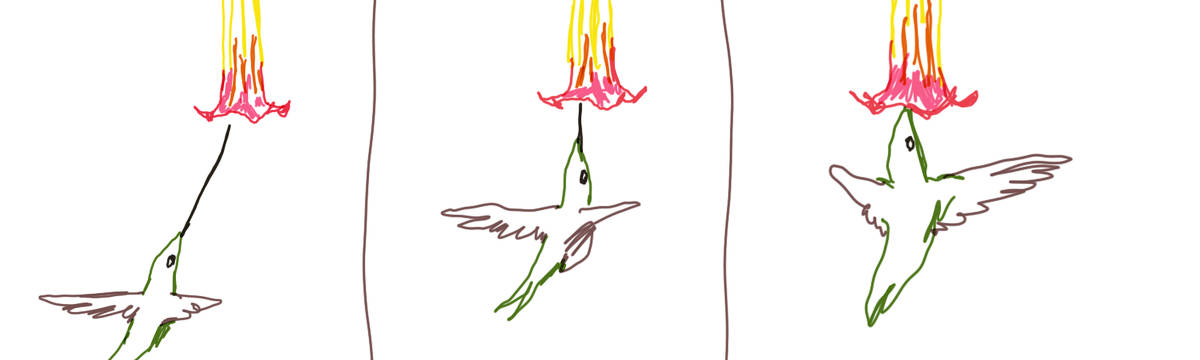 A tirinha de Estela May, publicada em 21/02/24, traz três quadros coloridos de um beija-flor sugando o néctar de uma flor.