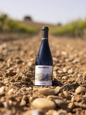 Garrafa do Malabrigo, um dos três vinhos que foram despejados propositalmente. Destaque para o solo pedregoso.