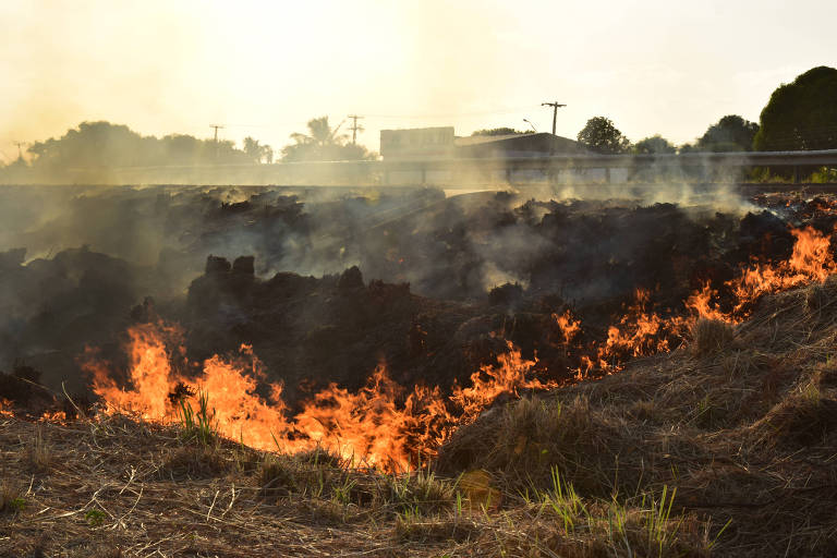 Emissões por queimadas no Brasil em fevereiro são as maiores desde 2003, diz observatório europeu