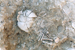 In an undated photo provided by Government of Navarre and J.L. Larrion, the inhumation of the prenatal infant with Down syndrome from the Iron Age site of Las Eretas. (Government of Navarre and J.L. Larrion via The New York Times)