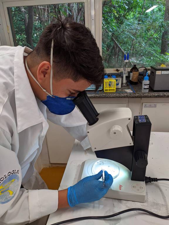 O pesquisador Diego Michel, doutorando no programa de Biologia Molecular na Universidade Federal de Goiás, responsável pelo experimento