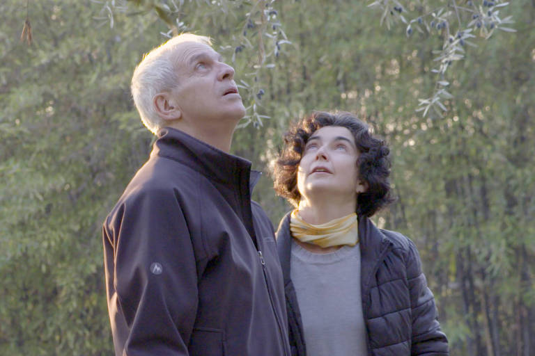 Cineasta chilena tenta o Oscar pela segunda vez com seu filme sobre Alzheimer
