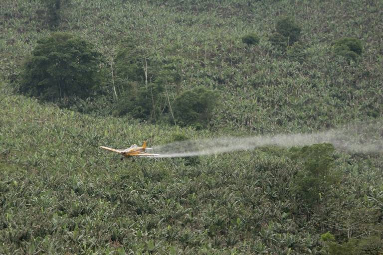 Avião pulveriza produto em plantação