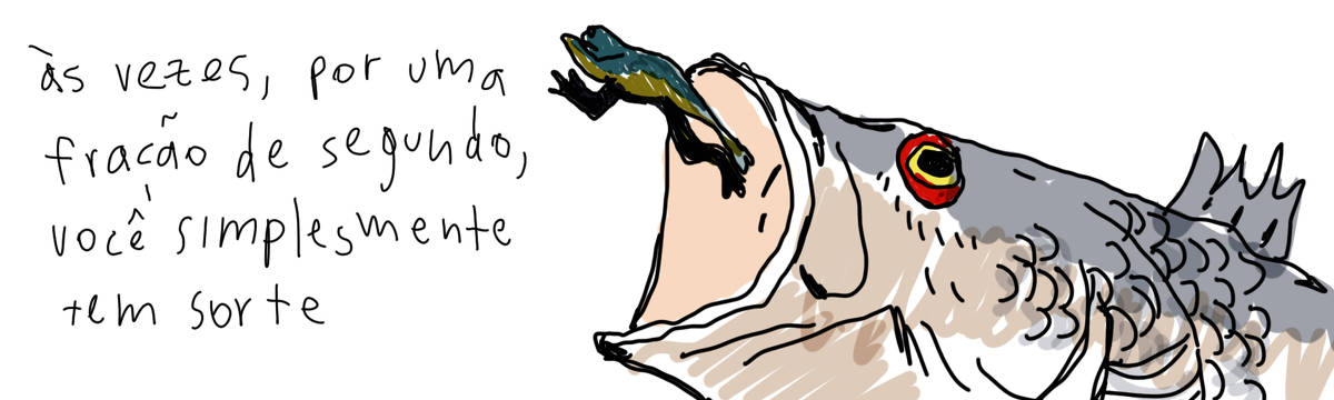A tirinha de Estela May, publicada em 26/02/24, traz um desenho colorido de um sapo escapando da boca de um peixe. À esquerda da imagem, “às vezes, por uma fração de segundo, você simplesmente tem sorte”