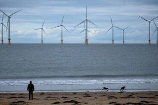FILE PHOTO: A man walks his dogs on the beach in front of Teesside Wind Farm in Redcar, Britain