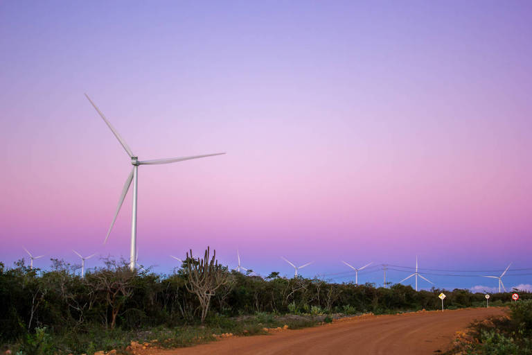 Casa dos Ventos anuncia investimento de R$ 12 bi em energia renovável