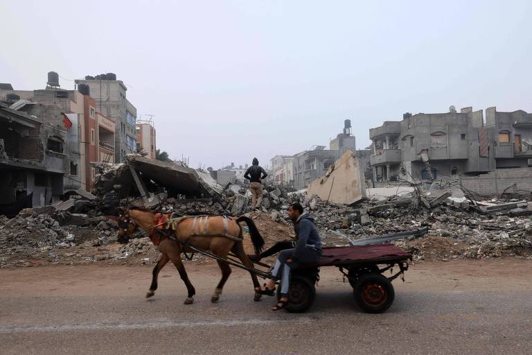 Agricultor palestino sacrifica cavalos para não morrer de fome na Faixa de Gaza