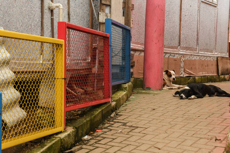 Imagem mostra um trecho da rua pavimentado com paredes das casas e cercas pintadas de tintas coloridas. Dois cachorros aparecem deitados na calçada, próximos de um poste pintado de rosa 