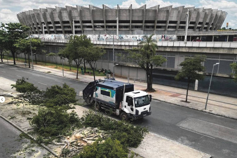 Prefeitura de BH corta árvores do entorno do Mineirão para receber Stock Car