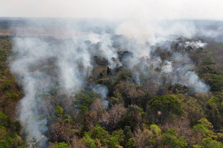 Emissões por queimadas no Brasil em fevereiro são as maiores desde 2003, diz observatório europeu
