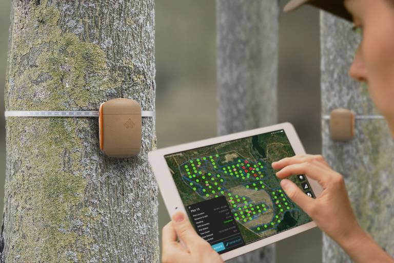 Projeto de sensor florestal