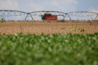 FILE PHOTO: Soybeans are harvested at a farm in Luziania, state of Goias