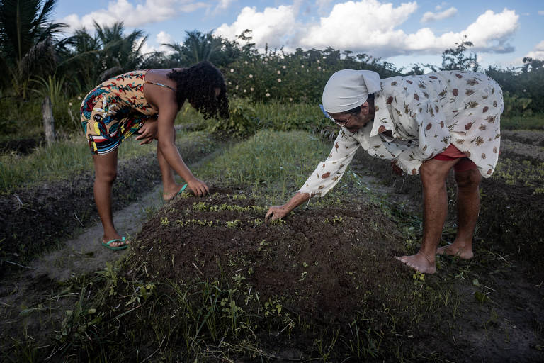 Fazenda do Povo, projeto pioneiro de reforma agrária na Bahia