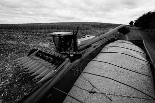 FILE PHOTO: A farmer uses a machine to collect corn at a plantation in Maringa